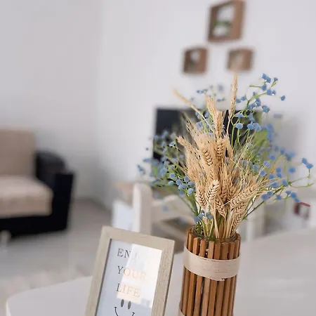 Sonila For Rent 아파트 *